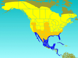 Tree Swallow-rangemap.gif