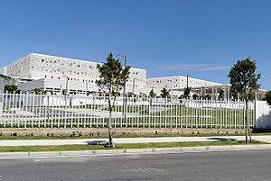 University Hospital Center in Tangier (general view)
