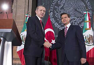Visita de Estado del señor Recep Tayyip Erdogan, Presidente de la República de Turquía. (16327495240)