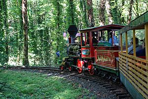 WP&Z Ry - riding steam train through woods, Portland, Oregon