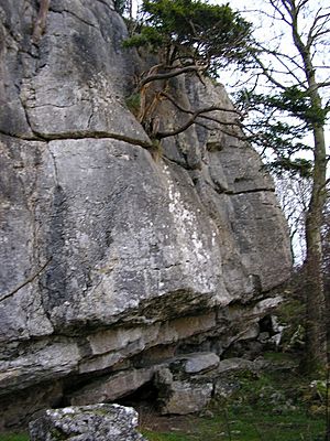 Warton Pinnacle Crag - geograph.org.uk - 1586580