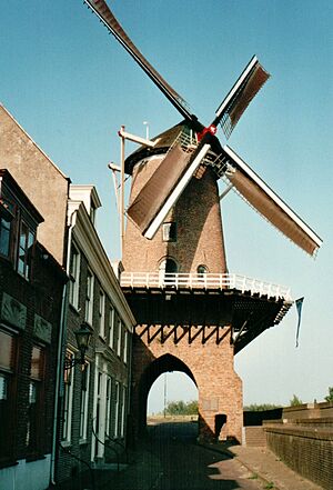 Wbd Runmolenpoort