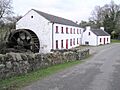 Wellbrook Beetling Mill - geograph.org.uk - 112280