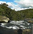 Whangarei Falls New Zealand (2)