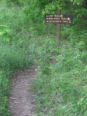 Worlds End State Park Trail 2 crop