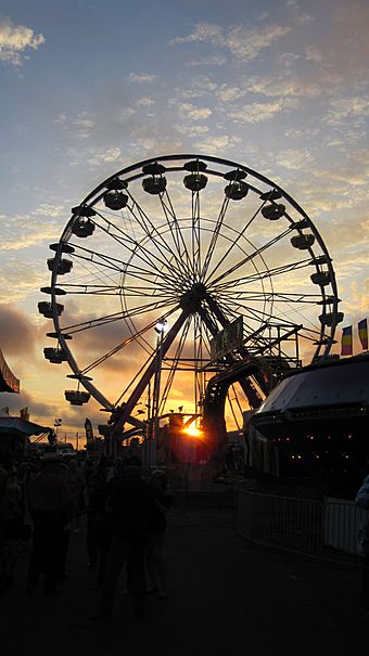 2011 Missouri State Fair Ferris Wheel.jpg