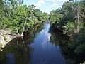 Alachua-Union FL Santa Fe River east02
