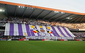 Anderlecht tifo
