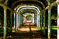 Arcos do Jardim Botânico do Rio.
