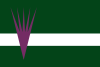 Flag of Almacelles
