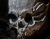 BanpoSkull