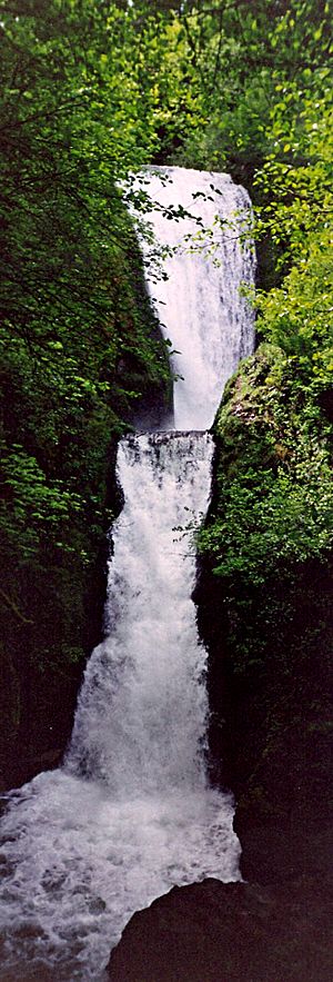 Bridalveil Falls Oregon 1995