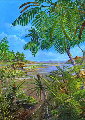Bulgo Sandstone biota