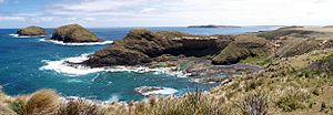 Cape Grim North West Tasmania Australia