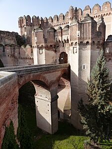 Castillo de Coca, Segovia, España, 2016 06