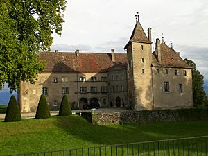 Chateau allaman1