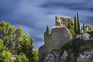 Chinchón - Castillo de Casasola (AGA9614)