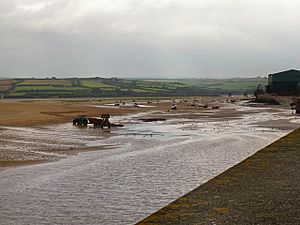 Collecting sand at low tide - geograph.org.uk - 1013990