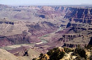 Colorado River from Desert View-1000px.jpeg
