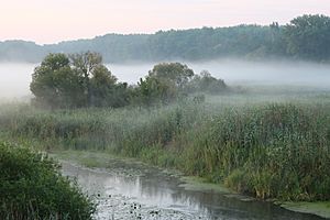 Desna river Vinn meadow 2016 G2