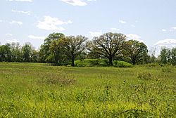 Dickson-mound