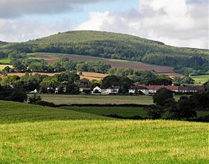 Dowsborough seen from just north of Nether Stowey.jpg