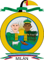 Escudo de Puerto Milán (Caquetá)