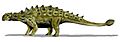 Euoplocephalus BW