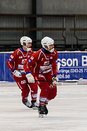 Falu BS BK vs Kalix Bandy 2013-01-27 02 Magnus Johansson, Peter Stock