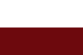 Flag of Cisneros (Antioquia)