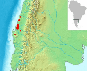 Gomortega keule range map-2.PNG