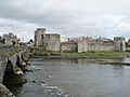 John Castle Limerick-seabhcan