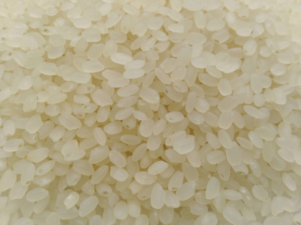 Korean aromatic rice