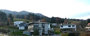 Le pâquier - montbarry - bulle - gruyere - switzerland - immobilier - prestige - villa - real estate1