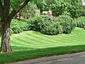 Lincoln, Nebraska Woodsshire Park 1