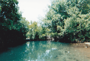 Lionel Town Pool, looking upstream towards the mineral spring