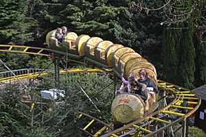 Log Coaster