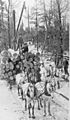 Logging sleigh