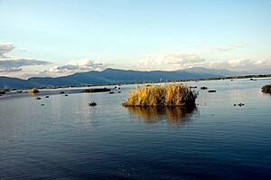 Loktak Lake,Manipur,India 01