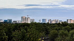 Skyline of Mandurriao district