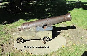 Marked cannon
