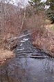 Marsh Creek looking downstream