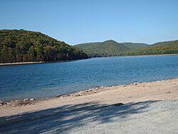 Michaux State Forest drought