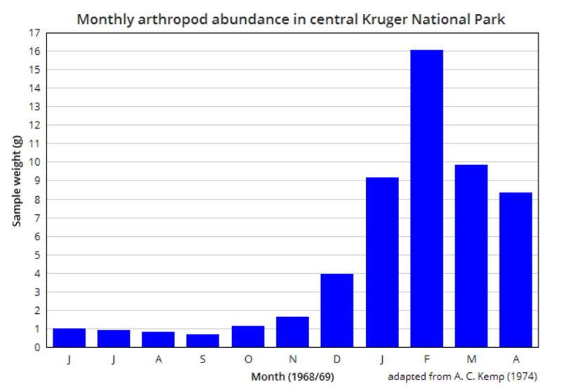 Monthly arthropod abundance in central Kruger National Park
