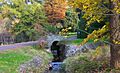 Morris Arboretum