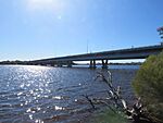 Mount Henry Bridge seen from the south, August 2021 02.jpg