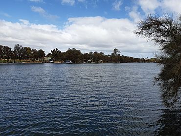 Murray River at North Yunderup, April 2020 03.jpg