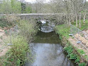 Old bridge at Two Bridges - geograph.org.uk - 163310