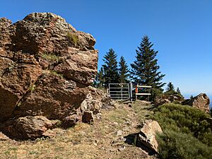 Orthogneiss oeillé - Ras Prat Cabrera (Canigou)