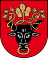 Pasvalys COA